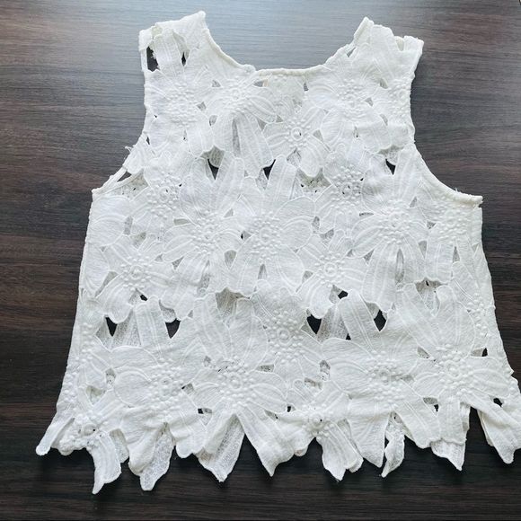 Caution the the Wind White Appliqué Crop Top - Picture 5 of 14